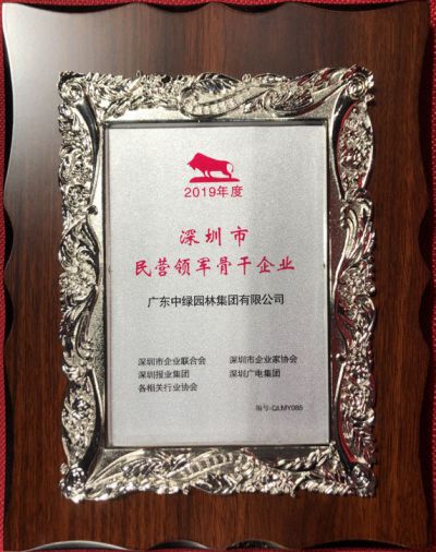 深圳市民營(yíng)領(lǐng)軍骨干企業(yè)