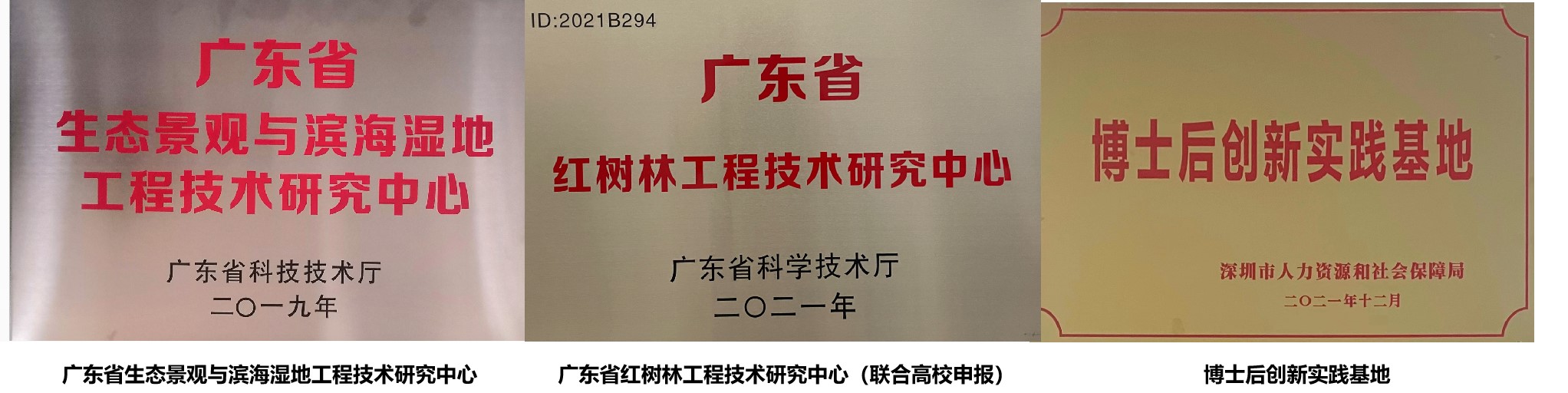 研發(fā)平1 研發(fā)平1